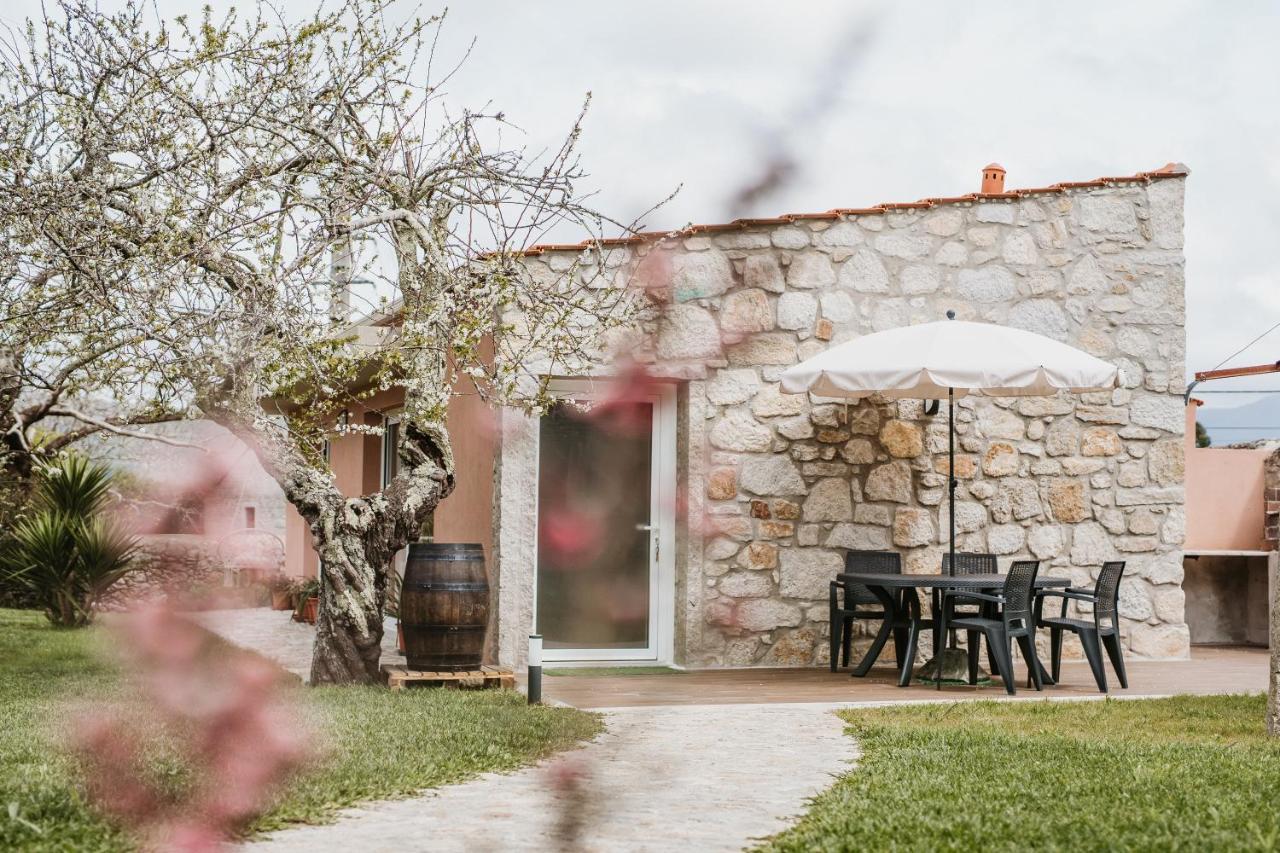 Vila Praia de Âncora Forno House - Ameixoeira מראה חיצוני תמונה